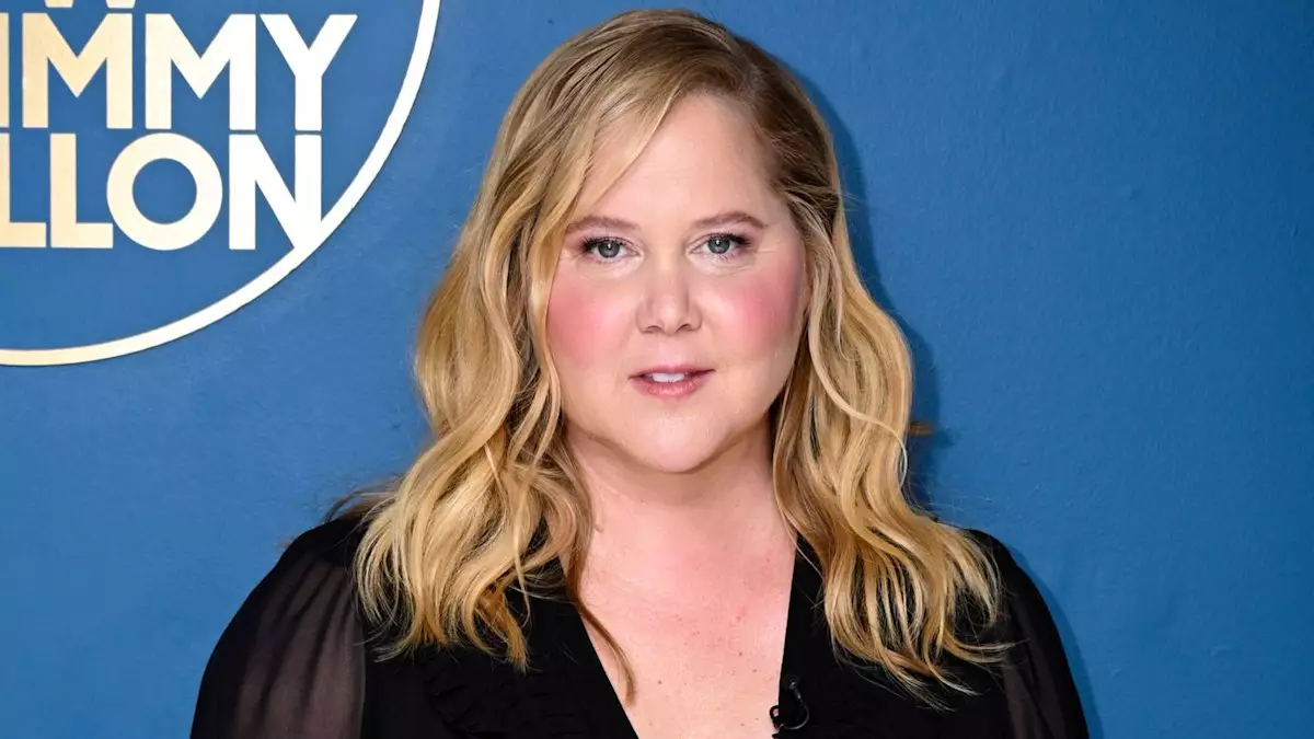 Celebrity Amy Schumer Addresses Online Trolls