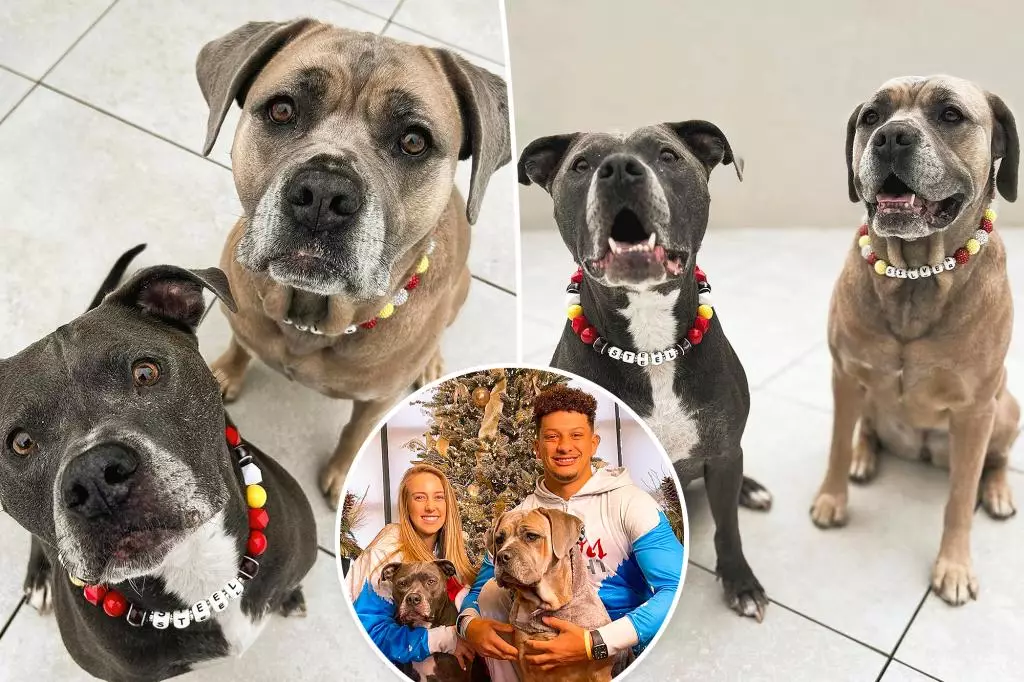 Unleashing the Charm of Brittany Mahomes’ Pups and Their Swiftie Tribute